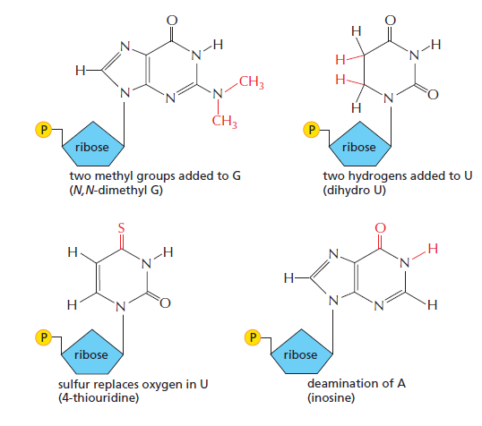 Figure 6-53.png